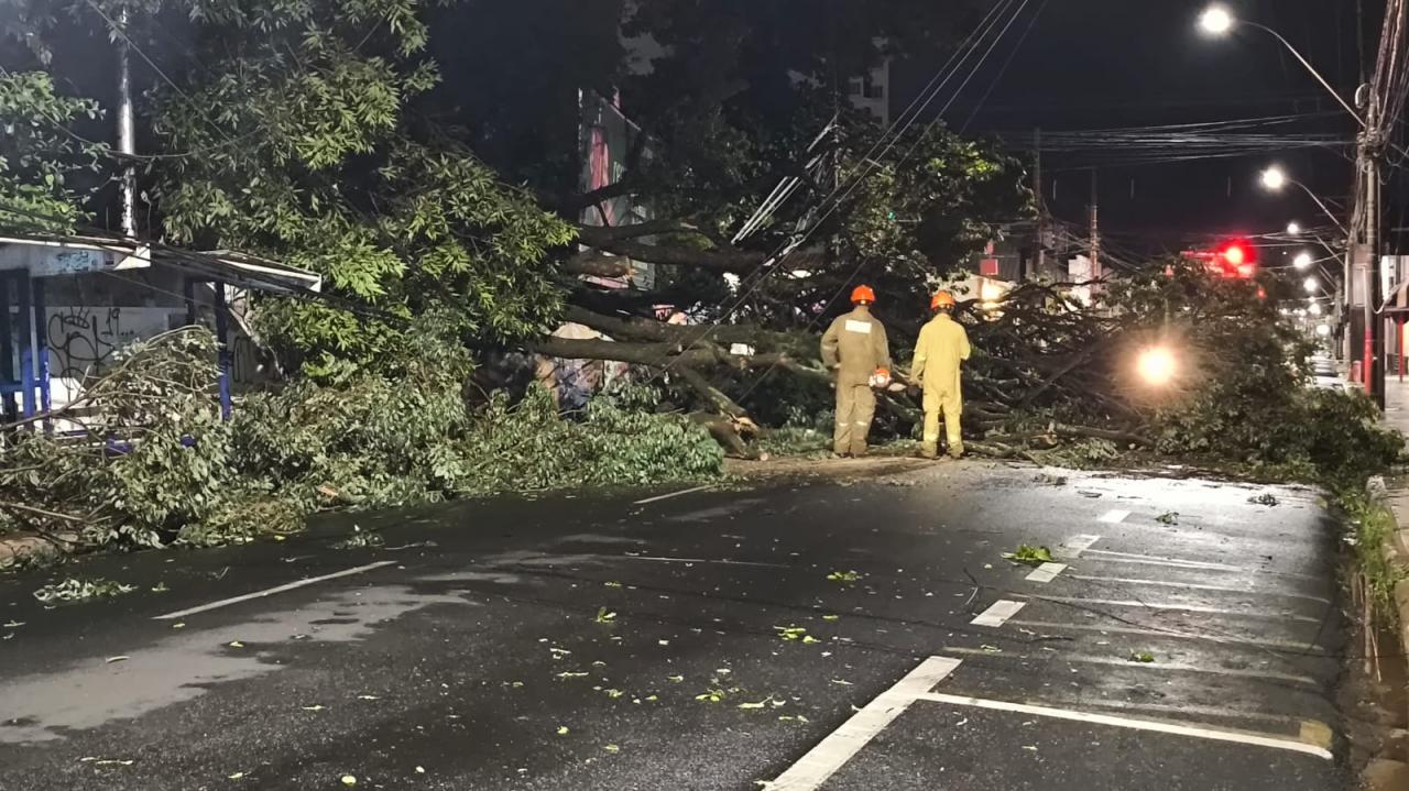 Foto 16 de 67 — TEMPORAL EM FOTOS: veja imagens de destruição em Araraquara